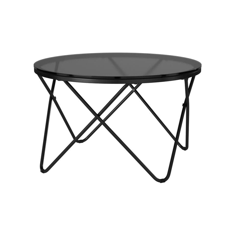 Canales 31.5 in. Black Round Glass Coffee Table