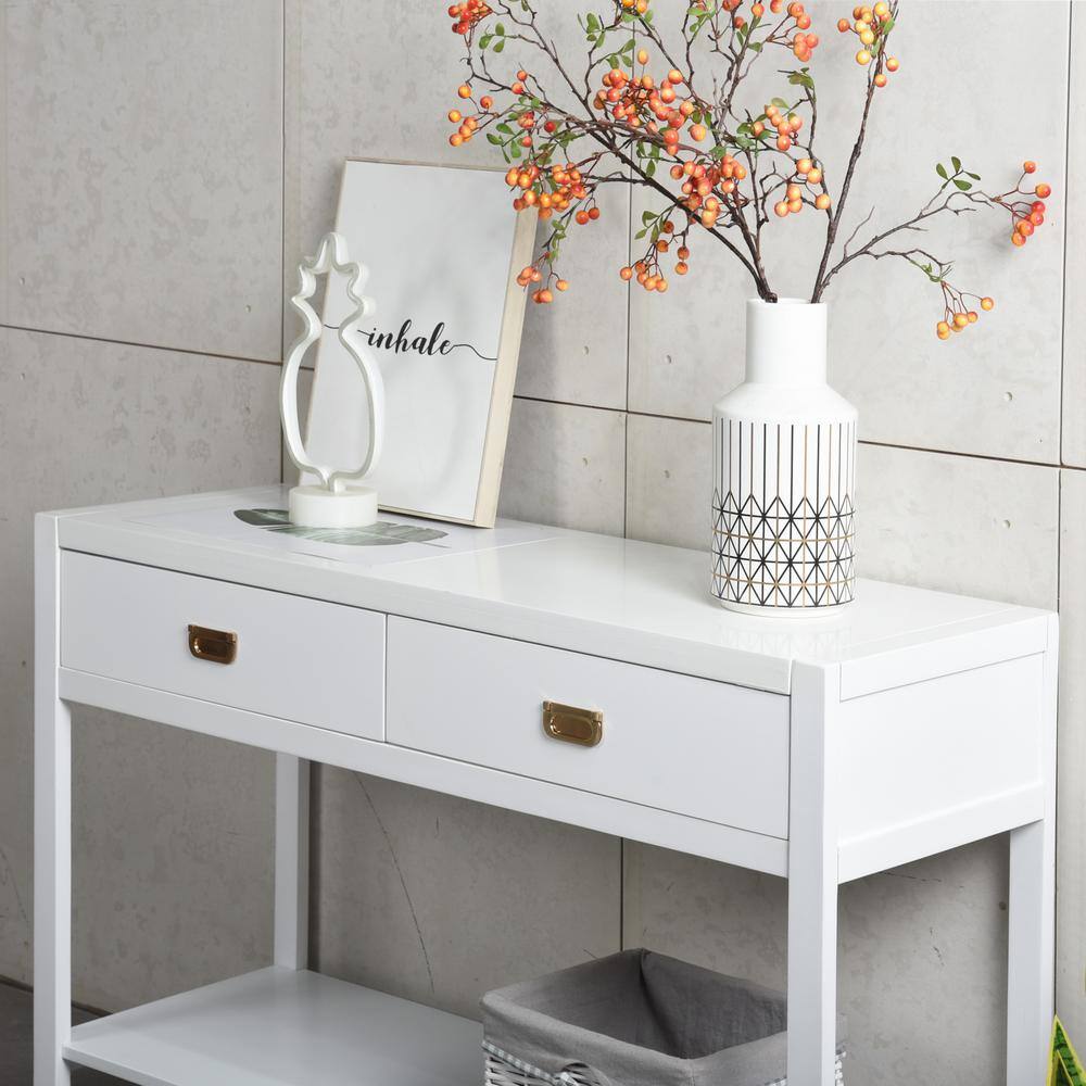Bianca 44.3 in. White Standard Rectangle Wood Console Table with 2-Drawers